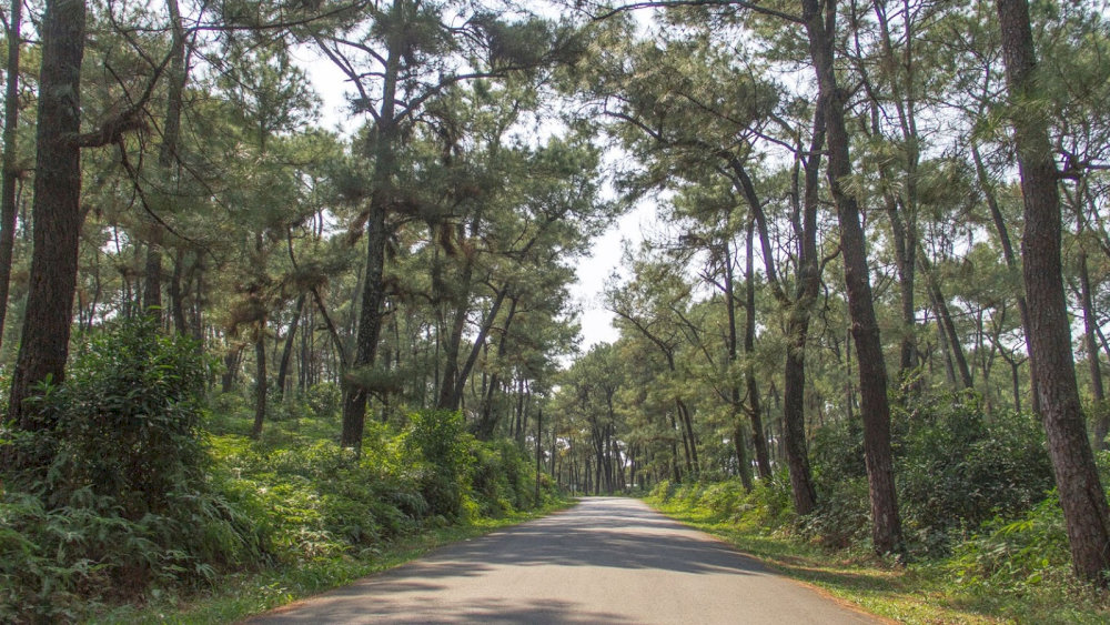 Thien An Hill is perfect for visitors in search of serenity